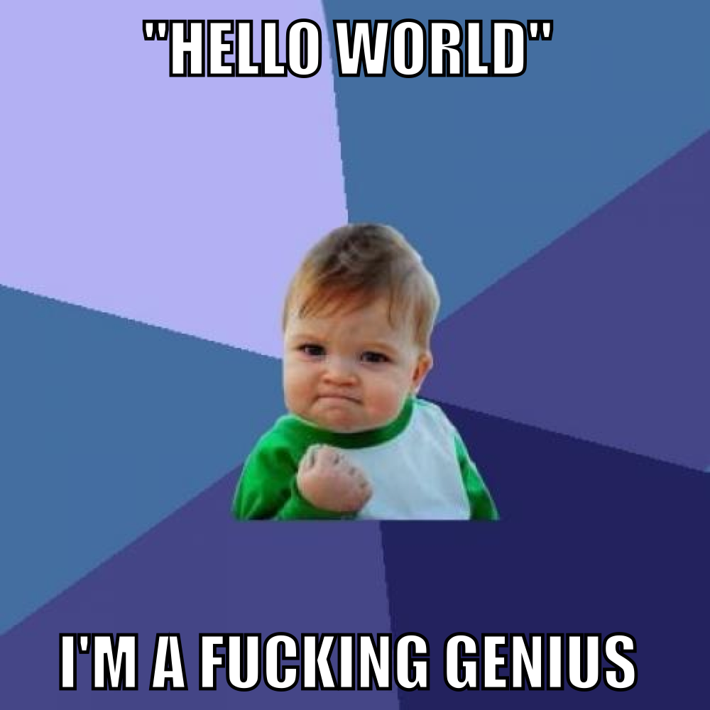 'Hello World', I'm a fucking genius